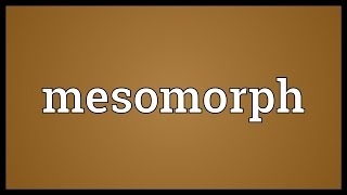 Mesomorph Meaning [upl. by Rawdan462]