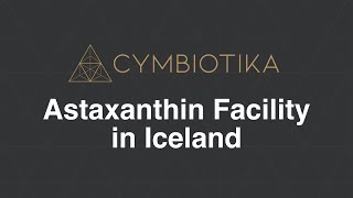 Cymbiotika Astaxanthin Facility in Iceland [upl. by Rriocard111]