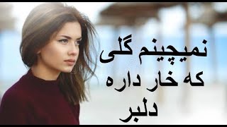 آهنگ زیبای ایرانی  نمیچینم گلی که خار داره دلبر  irani nice song [upl. by Asyle676]