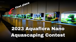 26 AMAZING NANO AQUASCAPES 2023 Aquaflora Nano Aquascaping Contest [upl. by Rez]