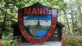 Maine Wildlife Park [upl. by Hogle]