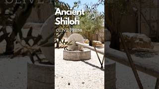 𝗘𝘅𝗽𝗹𝗼𝗿𝗲 𝗔𝗻𝗰𝗶𝗲𝗻𝘁 𝗦𝗵𝗶𝗹𝗼𝗵 𝗢𝗹𝗶𝘃𝗲 𝗣𝗿𝗲𝘀𝘀  Full Video in Description discoverisrael travel history [upl. by Aimee929]