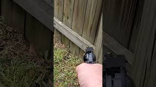 BUG A SALT Carpenter Bees vs Pellet Pistol with salt loads shorts short pestcontrol bugs [upl. by Annodas]