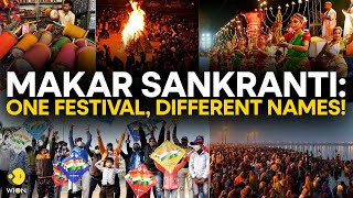 Makar Sankranti Heres how Makar Sankranti is celebrated in different Indian states [upl. by Shererd195]