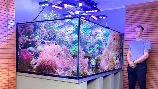 GERMAN REEF TANKS  quotNature Reefquot  3000 liter  790 gallon coral aquascape  saltwater aquarium [upl. by Ednalrim]