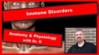 Types of Immune System Disorders Anatomy and Physiology [upl. by Ramal429]