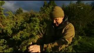 Ray Mears Wild Food  4 Zbiory w lecie LEKTOR PLavi [upl. by Sharos]