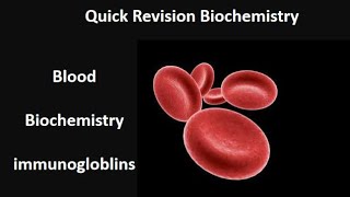 immunoglobulins  quick revision  Biochemistry  Blood module  Adham Saleh [upl. by Hyacintha256]