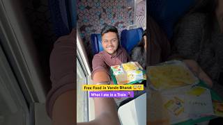 I Get Free Food in Train 🚆vandebharat foodie train [upl. by Eilyw582]