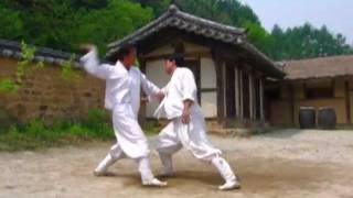 Taekkyeon a traditional Korean martial art [upl. by Gastineau]