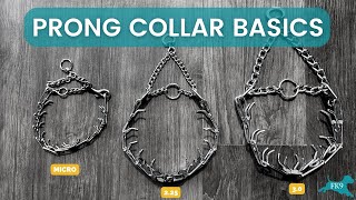 Prong Collar Basics  Freedom K9 Training [upl. by Eyahs]