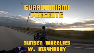 Surron Wheelies at Sunset ll SurronMiami amp Mx4Harry [upl. by Neleag]