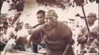 Webu Sayadaw Anthology of a Noble One [upl. by Trillbee194]