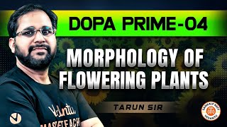 MORPHOLOGY OF FLOWERING PLANTS CLASS 11  DOPA PRIME 04  NEET 2025 DOPA PRIME SOLUTION TARUN SIR [upl. by Guido431]