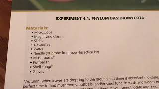 Apologia Biology Experiment 41PHYLUM BASIDIOMYCOTA [upl. by Dorsy]