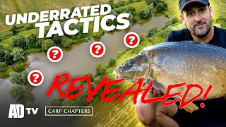 Rigs amp Tactics Revealed  Carp Fishing Day Tickets  Carp Chapters [upl. by Onateag293]