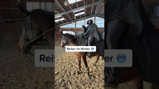 Reiten im Winter ❄️ und es geht schon wieder los ❄️🥶💙 winter reiten [upl. by Zelikow]