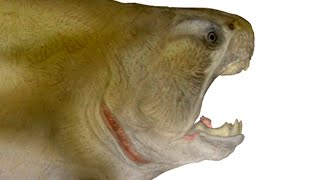 Paleo Profile  Dunkleosteus [upl. by Jadwiga]