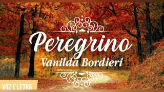 Peregrino  Vanilda Bordieri PlayBack Legendado [upl. by Jyoti540]