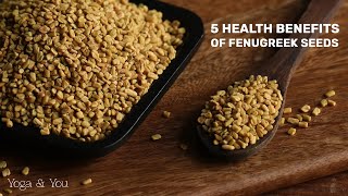 5 Surprising Health Benefits of Fenugreek Seeds  Secret Power of Fenugreek Seeds VentunoYoga [upl. by Netsrik]