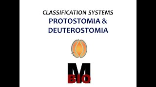 CLASSIFICATION SYSTEMSPROTOSTOMIA amp DEUTEROSTOMIA [upl. by Vasos]