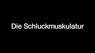 Die Schluckmuskeln [upl. by Nwad]