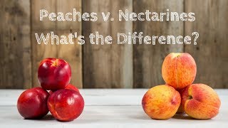 What is the Difference between Peaches and Nectarines  Produce Made Simple [upl. by Eiboj453]