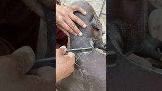 Razor blades head shaved asmr sounds [upl. by Anoval]