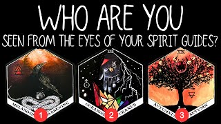 ✨WHO ARE YOU Seen From THE EYES Of Your Spirit Guides✨🌍🌟💠🕯️pick a card readingtarot card reading [upl. by Enaasiali]