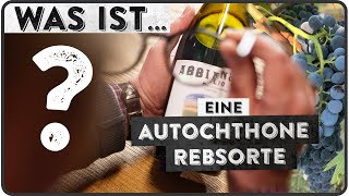 Autochthone Rebsorten  Was ist  5 MINUTEN FÜR WEIN AM LIMIT [upl. by Lleuqar]