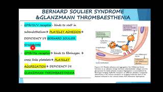 BERNARD SOULIER SYNDROME VS GLANZMANN THROMBASTHENIAkey features📚mcqs✏️vimpt topic theorypbqs [upl. by Samuele]