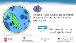 Biologija 7 r OŠ  Prehrana ostalih živih bića [upl. by Rahel552]