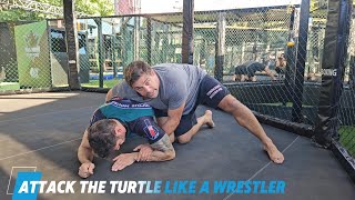 Wrestling inspired submission from turtle bjj [upl. by Lough391]