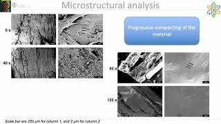 High performance silk based bioplastic from regenerated fibroin [upl. by Troc]