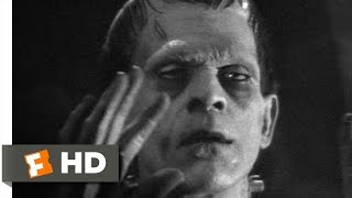 Frankensteins Adaptation Anomaly The 1931 Film vs The Original 1818 Novel [upl. by Cia]