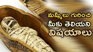 మమ్మీలు గురించి మీకు తెలియని విషయాలు  Facts about Mummies  Telugu Facts [upl. by Sinnelg764]