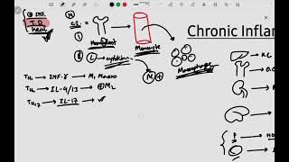 Chronic Inflammation  Granulomatous Inflammation  giant cells  General Pathology  Bangla [upl. by Rissa402]