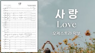 사랑 Love  오케스트라 악보  고린도전서 13장  김은국 [upl. by Atinej]