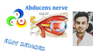 Abducens Nerve [upl. by Cowles]