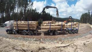 Marsden transport solutions being loaded by douglas logging nz [upl. by Yekcim]