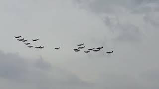 18x spitfire hurricane flying wing formation  duxford battle of britain airshow 2023 [upl. by Aivartal]