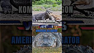 Alligator VS Komodo Dragon alligator lizard nature whoisstrongest youtubeshorts trending [upl. by Romain]