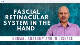 The fascial retinacular system in the hand  Normal anatomy and what happens in disease [upl. by Lamaaj]