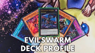 Competitive Evilswarm deck profile May 2024 TCG Yugioh [upl. by Assisi]