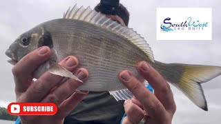 Sea fishing UK  Gilthead bream fishing  Bass fishing  Salcombe estuary [upl. by Glaser635]