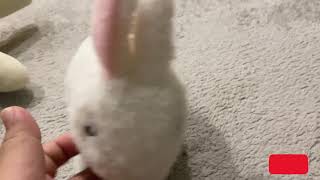 Pitter Patter Pets  Teeny Weeny Bunny [upl. by Drexler]