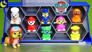 Lots of Paw Patrol the Movie Surprise Toys Liberty Adventure City Lookout Tower Toy Video Episode [upl. by Mair443]