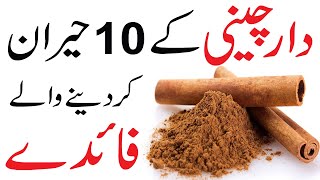 Dalchini ke fayde  dalchini khane ke fayde Cinnamon benefits [upl. by Dyol133]