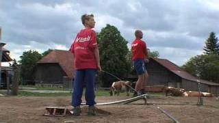 Hornussen  the sport of Swiss farmers [upl. by Vaules723]