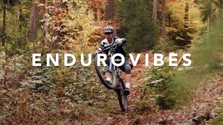 Endurovibes  Luis Freitag [upl. by Edyaw]